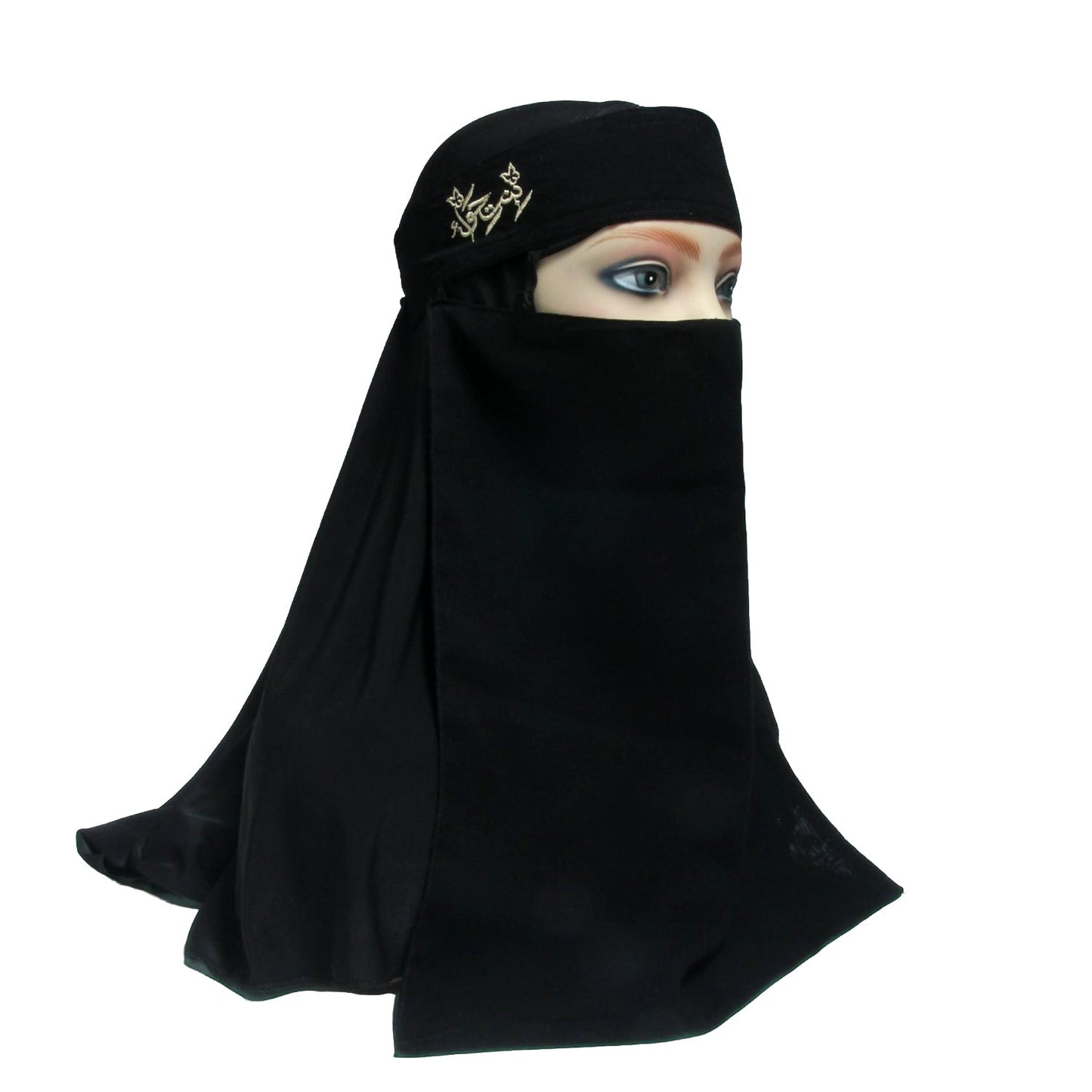 Saudi Naqab
