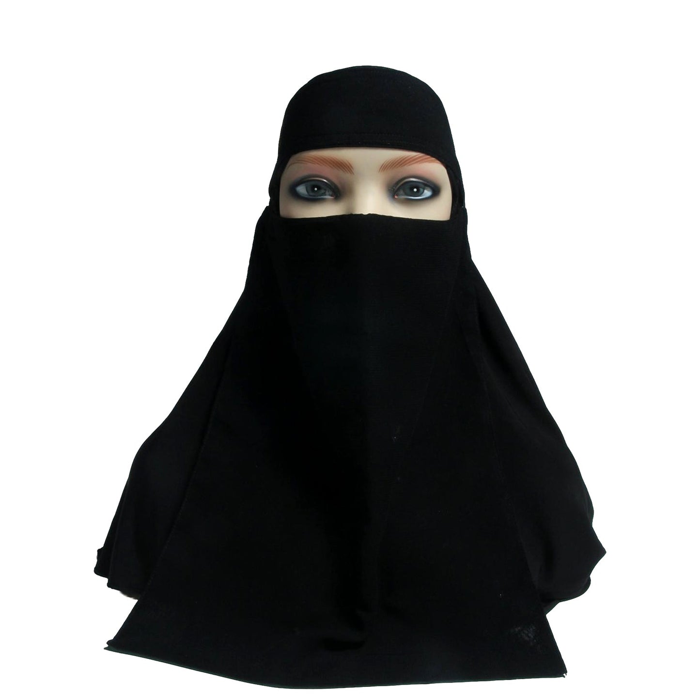 Saudi Naqab