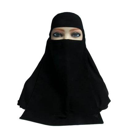 Saudi Naqab