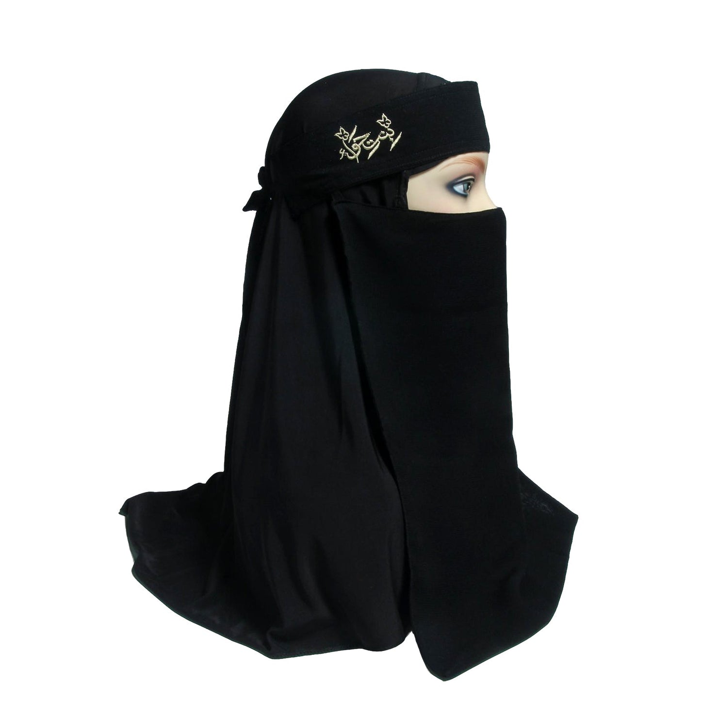 Saudi Naqab